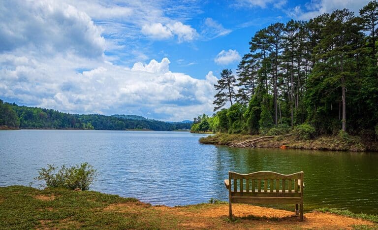 Awesome Outdoor Activities at W. Kerr Scott Dam