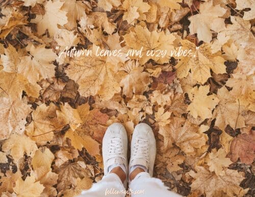 Autumn Leaves and Cozy Vibe - Fall Quotes
