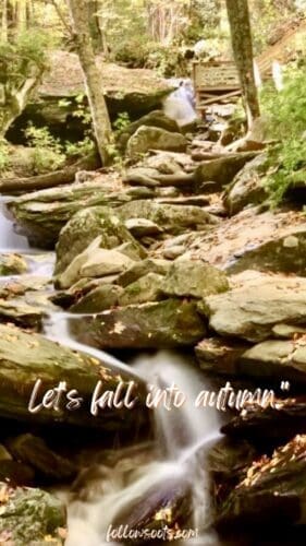 Cozy Autumn Quotes - Photo by Lisa Soots