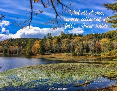 Cozy Autumn Quotes - Photo by Lisa Soots